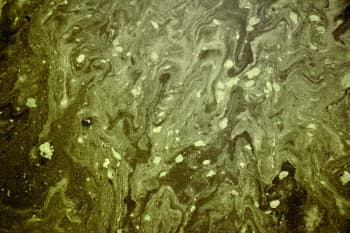 green abstract painting